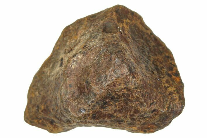 Mundrabilla Iron Meteorite ( g) - Australia #374327